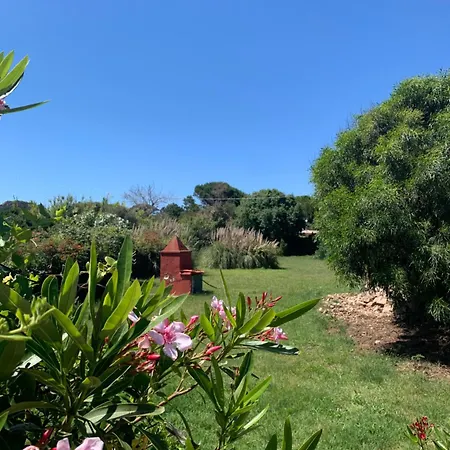 Casa Mimi Сasa de vacaciones La Maddalena (Sassari)