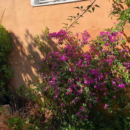 Casa Mimi Hébergement de vacances *